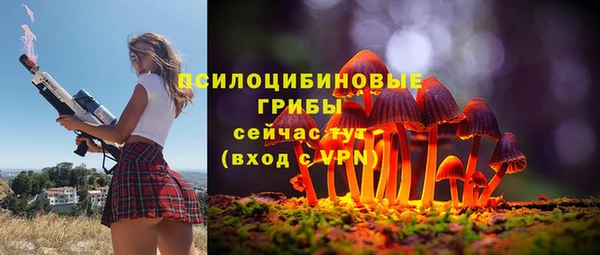 бошки Арсеньев